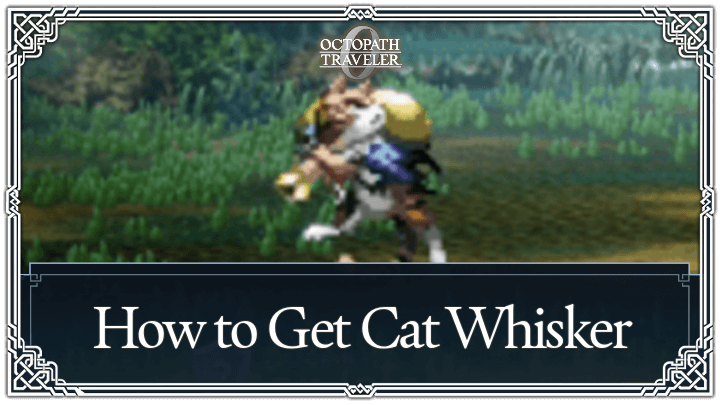 Octopath Traveler 0 - How to Get Cat Whisker