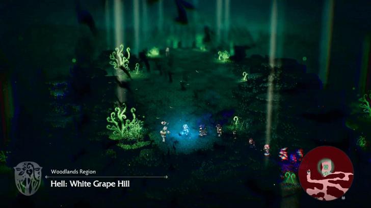 White Grape Hill Save Point and Entrance