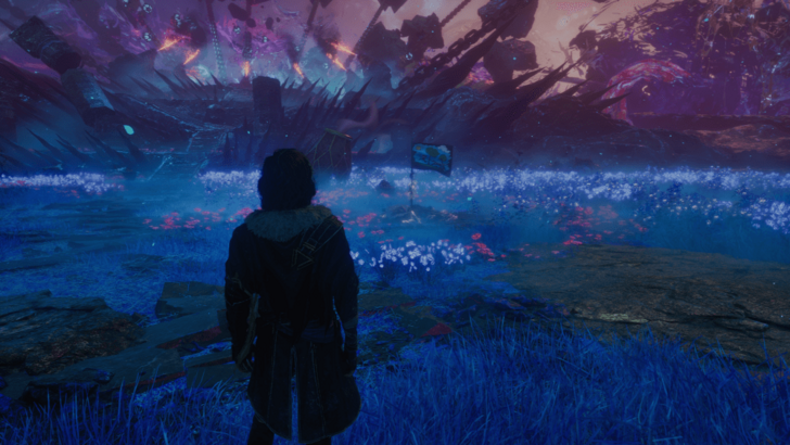 Main Field Expedition Flag