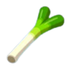 Leek