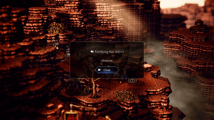 Fortifying Nut (M) x 1 Pic (South Cragspear Pass, Cliftlands)