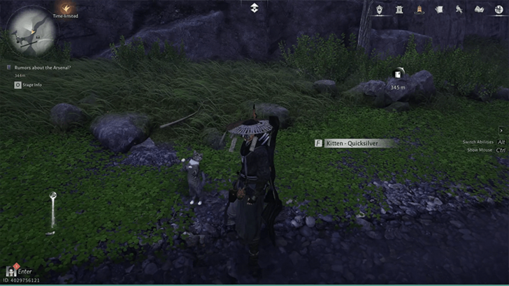 Kitten - Quicksilver