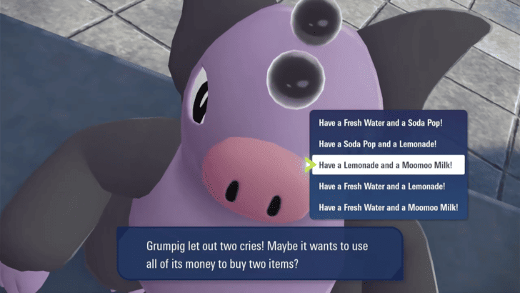 Pokemon Legends ZA Grumpig Customer Order