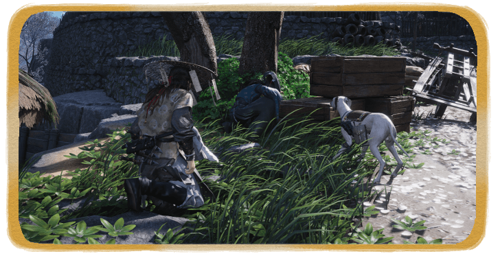 WWM - The Dogs Know First