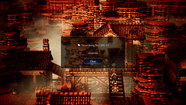 Nourishing Nut (M) x 1 Pic (Cragspear Slums, Cliftlands)