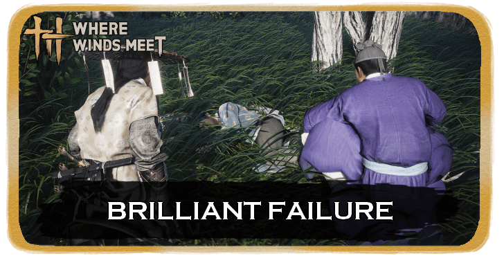 Brilliant Failure Banner