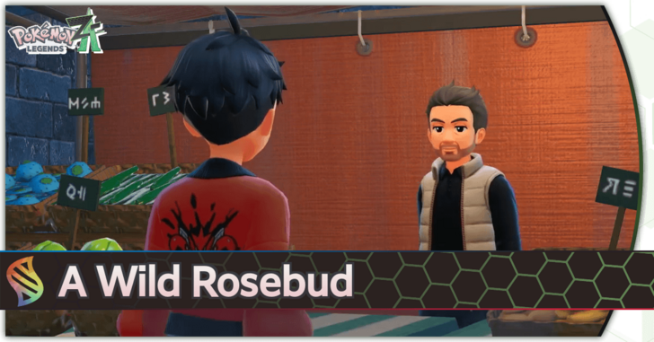 Pokemon Legends Z-A Farfetch