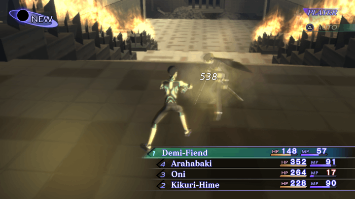 Use Phys Attacks Against Raidou