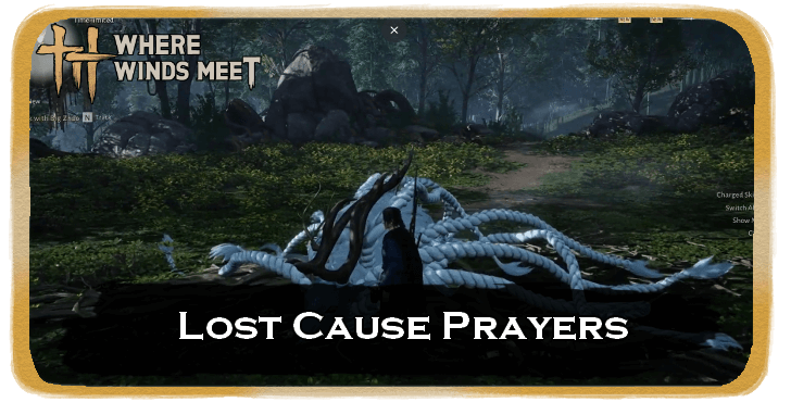 Lost Cause Prayers Banner