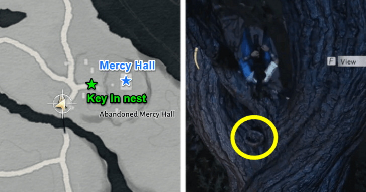 WWM - Take the Key from the Nest