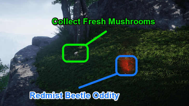 WWM - A Savory Revelation - Fresh Mushroom Location