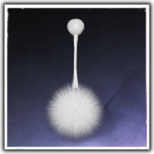 Hollow Strokes Earrings F