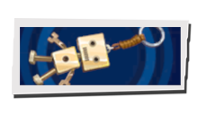 P5 Phantom X - Limited-Edition Keychain Image