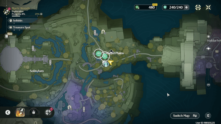 Find the Two Soliskin