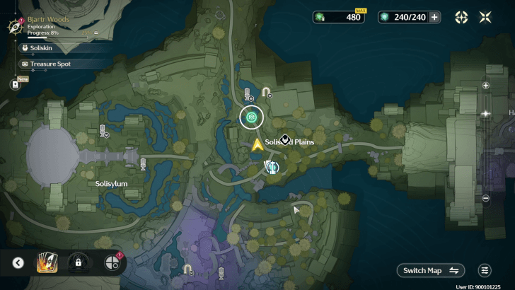 Find the Missing Soliskin