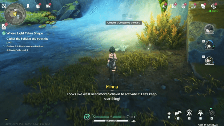 Collect Five Soliskin to Open the Door