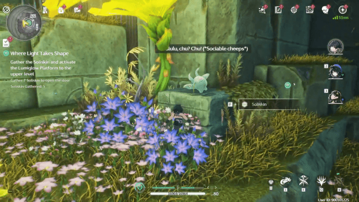 Collect Seven Soliskin to Activate the Platform