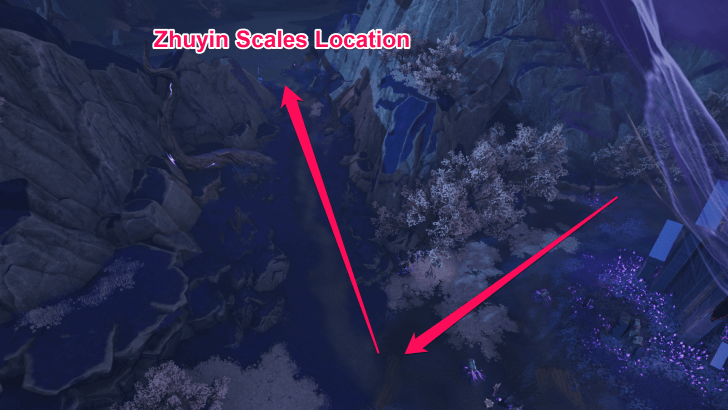 Duet Night Abyss Roars of the Bi