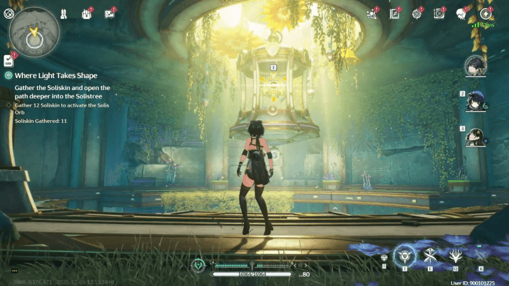 Collect Twelve Soliskin