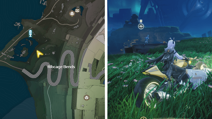 Pointy Head Location