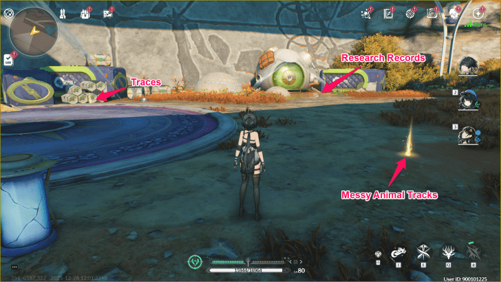 Investigation Points