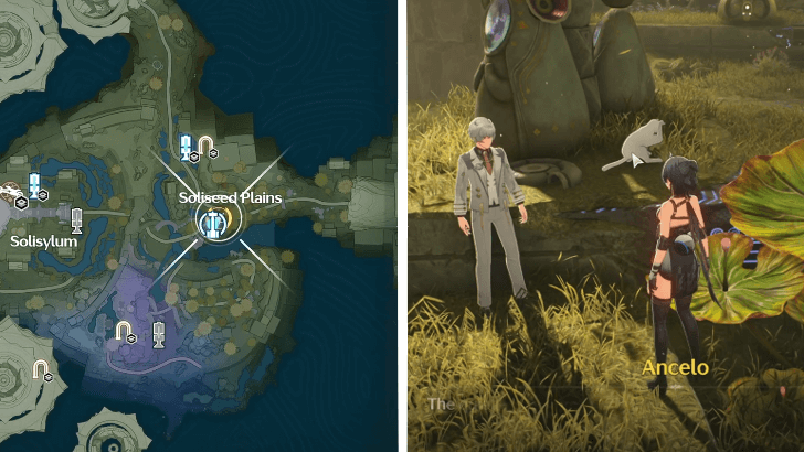 Capturing Starlight Photo 2