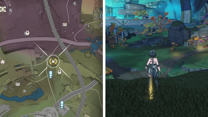 Capturing Starlight Photo 5