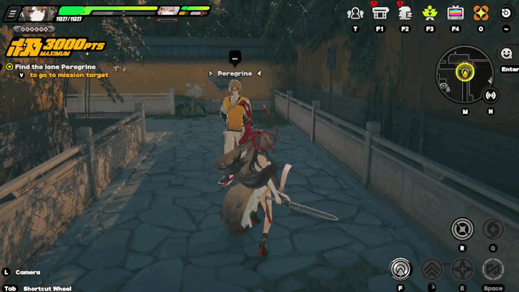 Find the Lone Peregrine