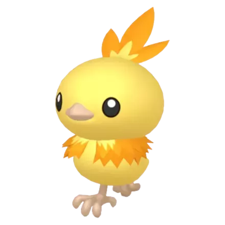 Torchic Image