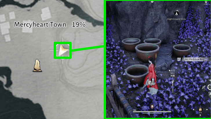 WWM - The Elixir Theft - Lost Medicine Bag in the Infernal Dungeon