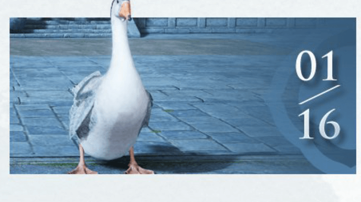 Guild Battle Preseason