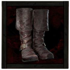 Drakeskin Boots Image