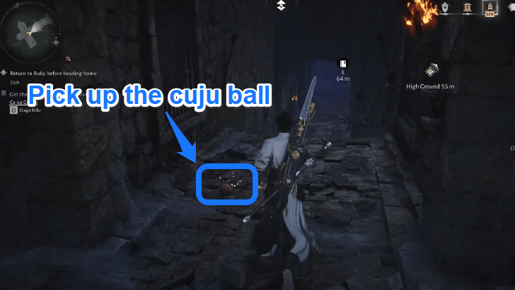 WWM - Echoes in the Shrine - Pick up the ball