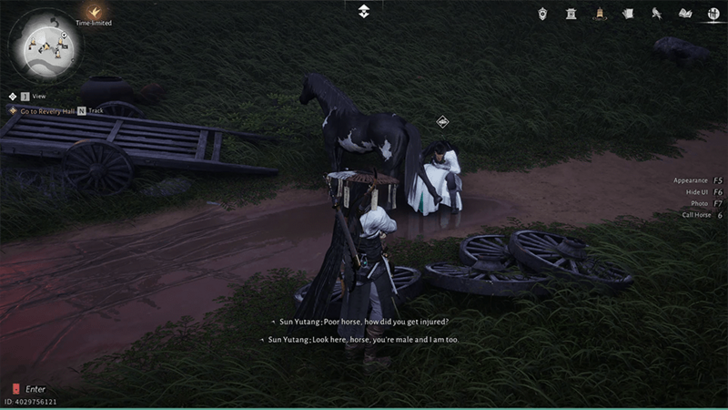 Being a Horse Healer