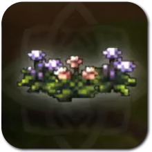 White and Purple Flower Patch