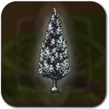 Snowy Conifer Tree