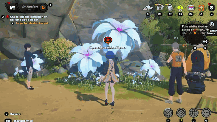 Check the Situation on Sailume Bay