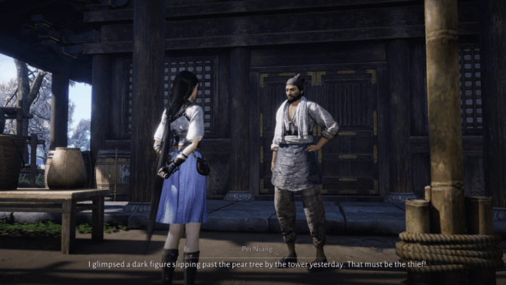 WWM - Talk to Pei Niang Near Sweetwine Tower