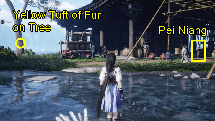 WWM - Find the Yellow Tuft of Fur on the Tree