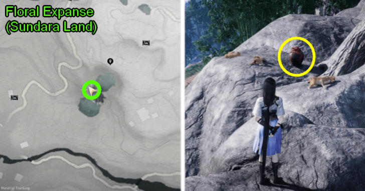 WWM - Location of the Stolen First-Jar Wine