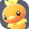 Torchic