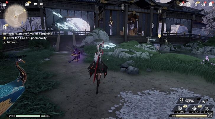 DNA Reflections on the River of Forgetting Walkthrough Guide