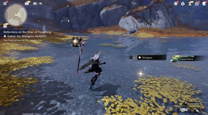 DNA Reflections on the River of Forgetting Walkthrough Wangyou Location