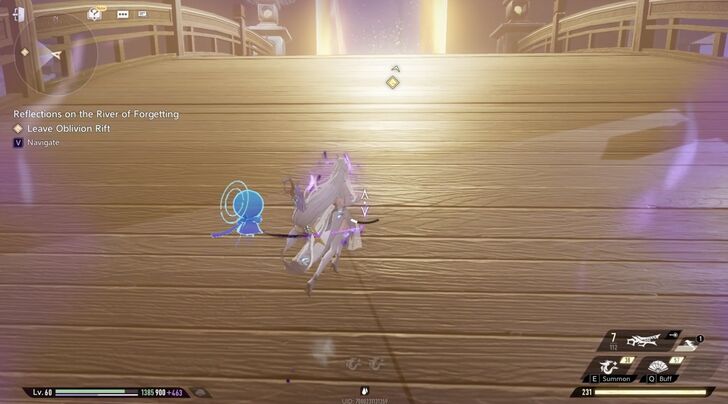 DNA Reflections on the River of Forgetting Walkthrough Guide