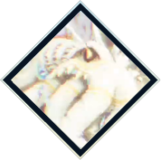 Octopath Traveler 0 - Sacred Beast of the SeasIcon