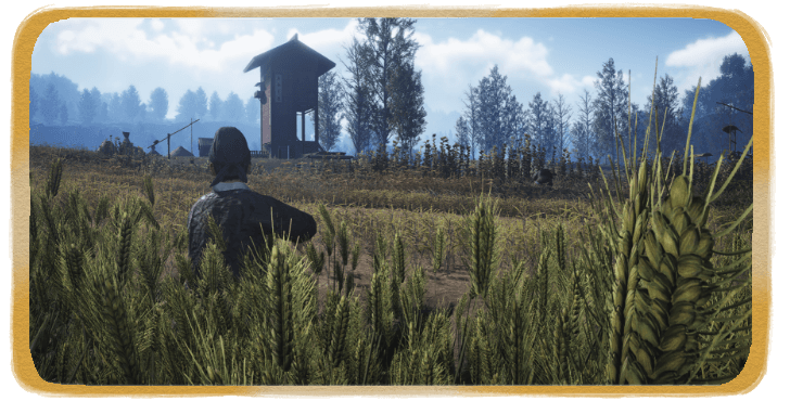 WWM - Fields of Fortune