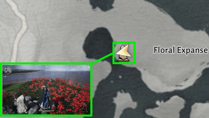 A Flower Wish Map Location