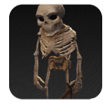 The Forge - Skeleton Rogue Icon