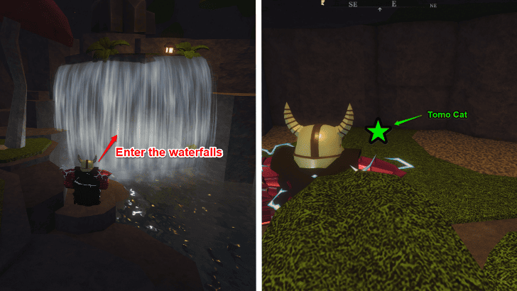 How to Find Lost Cat