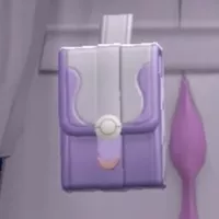 Leather Satchel (alternate)